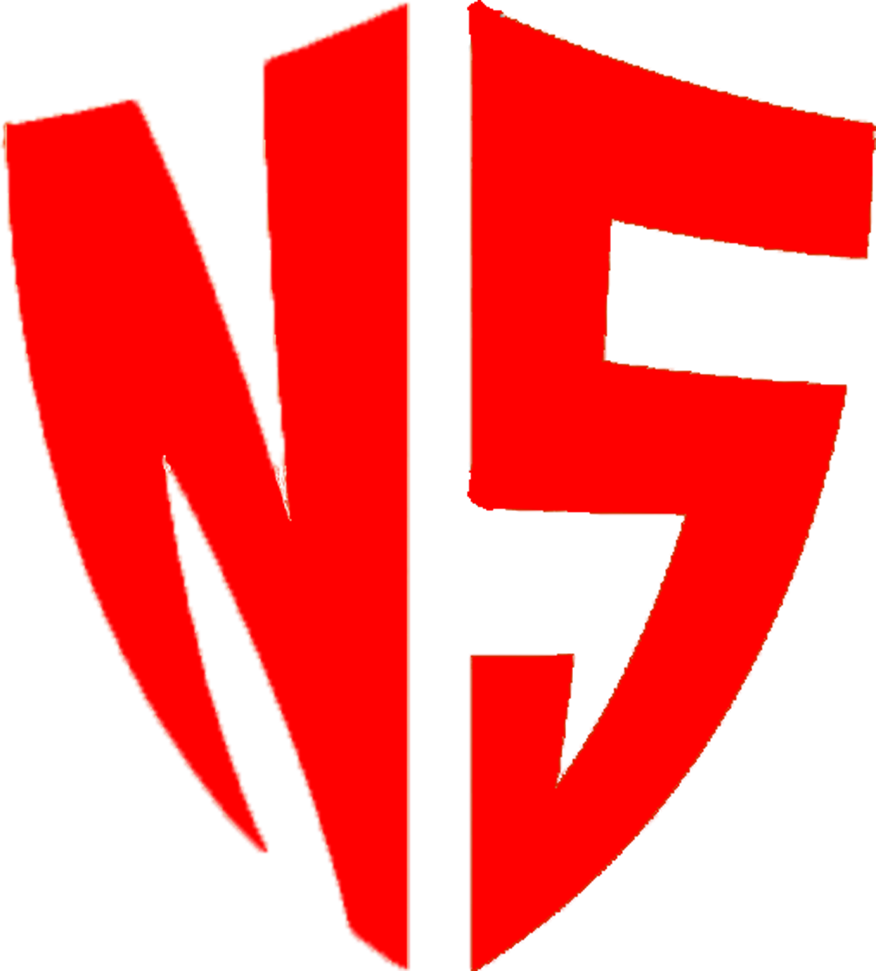 NumSpy logo